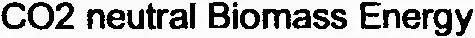 CO2 neutral Biomass Energy
