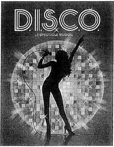 D.I.S.C.O. LE SPECTACLE MUSICAL