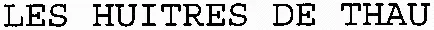 LES HUITRES DE THAU