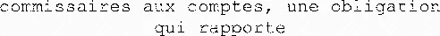 commissaires aux comptes, une obligation qui rapporte