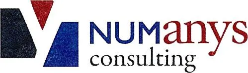 NUManys consulting