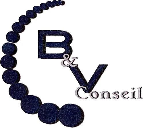 B&V Conseil