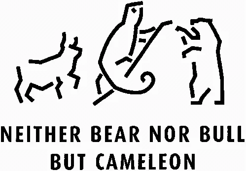 NEITHER BEAR NOR BULL BUT CAMELEON