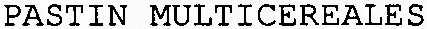 PASTIN MULTICEREALES