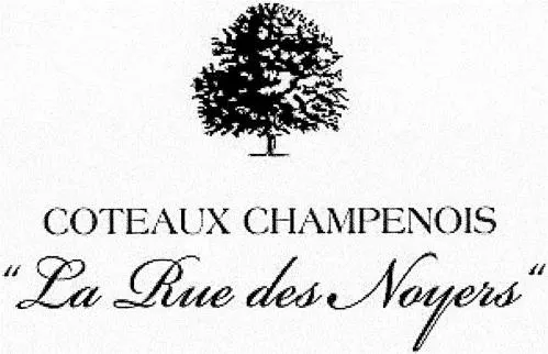 “ La Rue des Noyers ”