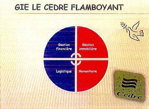 GIE LE CEDRE FLAMBOYANT CEDRE Gestion financière Gestion immobilière Logistique Humanitaire
