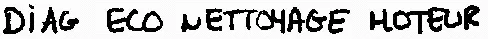 DIAG ECO NETTOYAGE MOTEUR