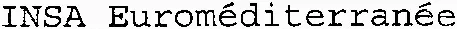 INSA Euroméditerranée