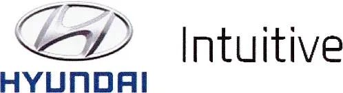 HYUNDAI INTUITIVE