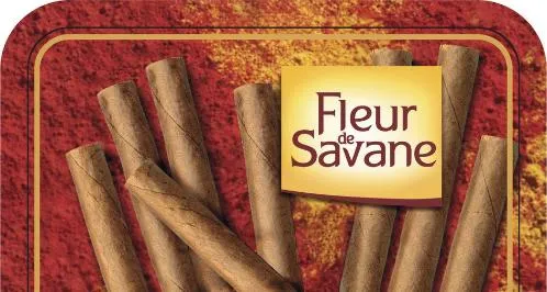 FLEUR DE SAVANE