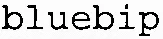 bluebip