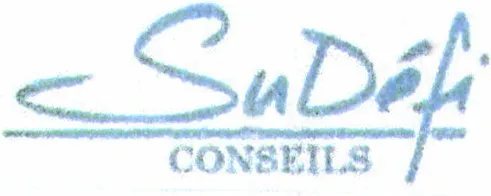 SUDEFI CONSEILS