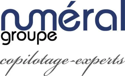 NUMERAL GROUPE COPILOTAGE-EXPERTS
