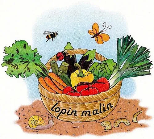 Lopin malin