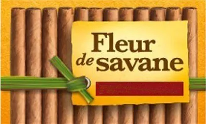 FLEUR DE SAVANE
