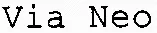 Via Neo