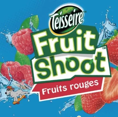 TEISSEIRE FRUIT SHOOT FRUITS ROUGES