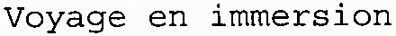 Voyage en immersion