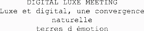 DIGITAL LUXE MEETING Luxe et digital, une convergence naturelle terres d émotion