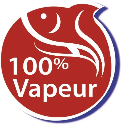 100% VAPEUR
