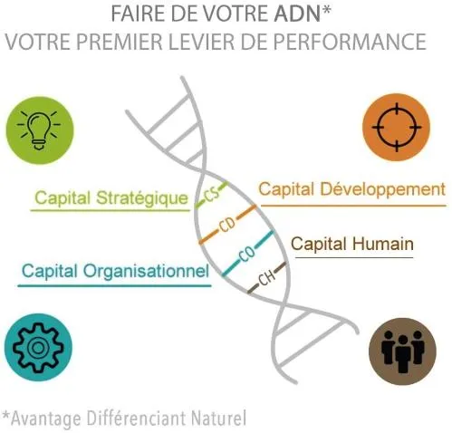 FAIRE DE VOTRE ADN VOTRE PREMIER LEVIER DE PERFORMANCE CAPITAL STRATEGIQUE CS CAPITAL ORGANISATIONNEL CO CAPITAL DEVELOPPEMENT CD CAPITAL HUMAIN CH AV