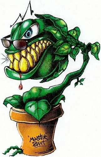 MONSTER PLANT