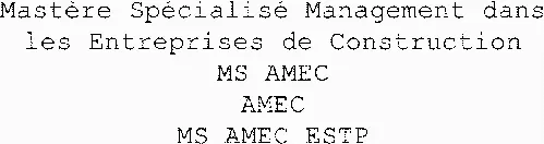 Mastère Spécialisé Management dans les Entreprises de Construction MS AMEC AMEC MS AMEC ESTP