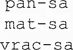 pan-sa mat-sa vrac-sa