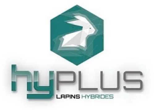 HYPLUS LAPINS HYBRIDES