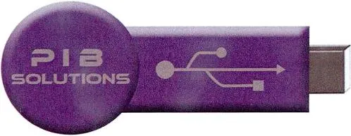 PIB SOLUTIONS