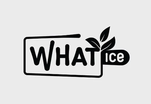 WHAT ICE