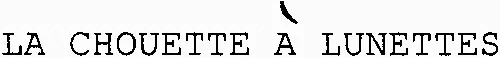 LA CHOUETTE À LUNETTES