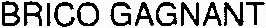 BRICO GAGNANT
