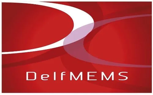 DELFMEMS