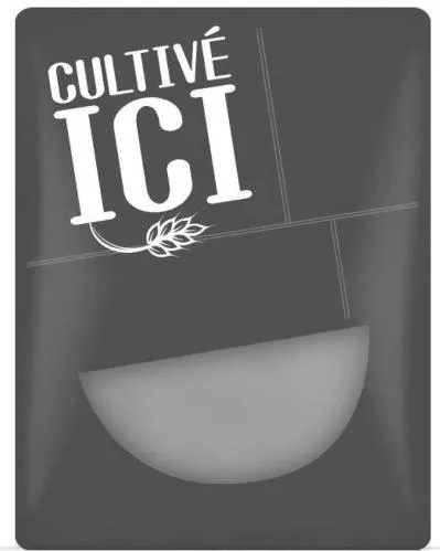 CULTIVE ICI