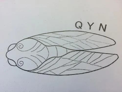 QYN