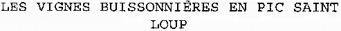 LES VIGNES BUISSONNIÈRES EN PIC SAINT LOUP