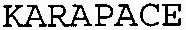 KARAPACE