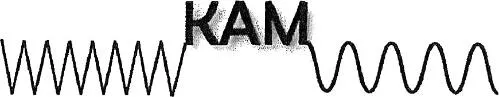 KAM