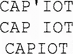 CAP'IOT CAP IOT CAPIOT