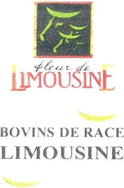Fleur de LIMOUSINE BOVINS DE RACE LIMOUSINE