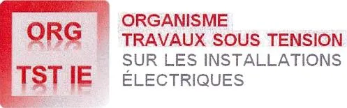 ORG TST IE ORGANISME TRAVAUX SOUS TENSION SUR LES INSTALLATIONS ELECTRIQUES