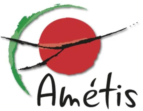 AMETIS