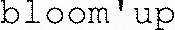 bloom'up