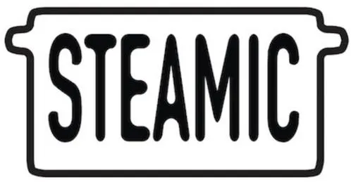 STEAMIC