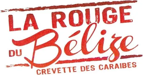 LA ROUGE DU BELIZE CREVETTE DES CARAIBES