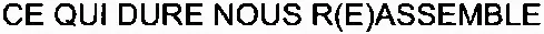 CE QUI DURE NOUS R(E)ASSEMBLE