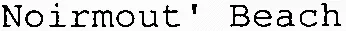 Noirmout' Beach