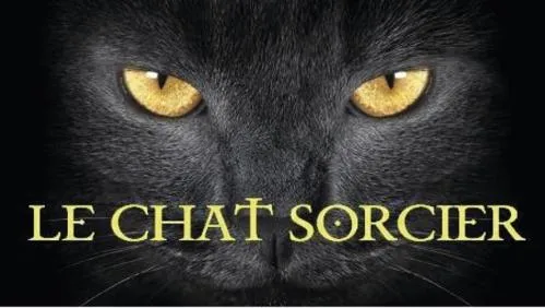 LE CHAT SORCIER