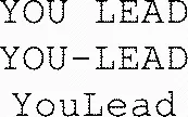 YOU LEAD YOU-LEAD YouLead